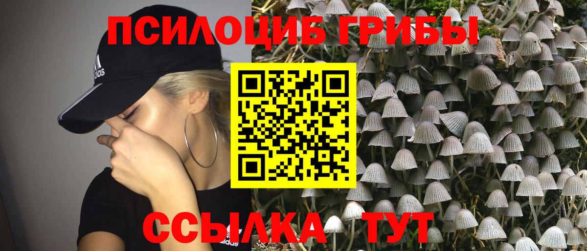 Псилоцибиновые грибы мицелий  Галлюциногенные грибы Magic Shrooms  Валуйки  Вход с VPN 