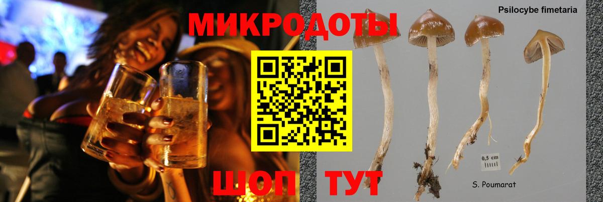 Галлюциногенные грибы GOLDEN TEACHER Валуйки